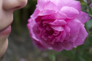 Woman smelling a rose