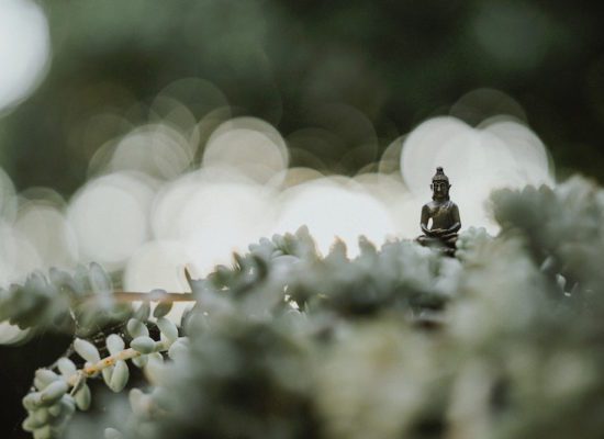 Buddha on a leaf - Four Noble Truths