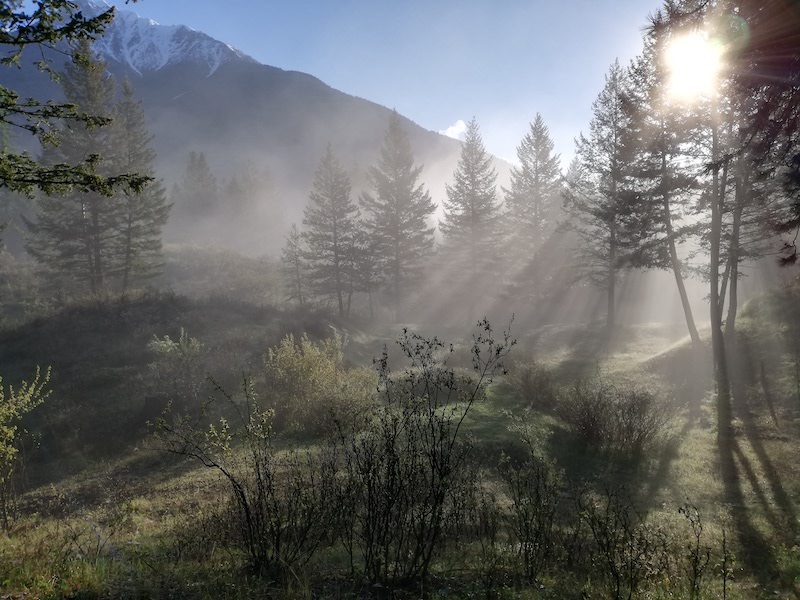 Photo Credit: Bat Fung