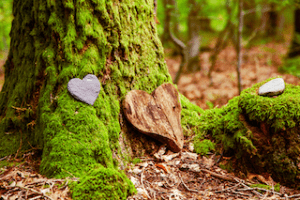 Wellness retreats in canada