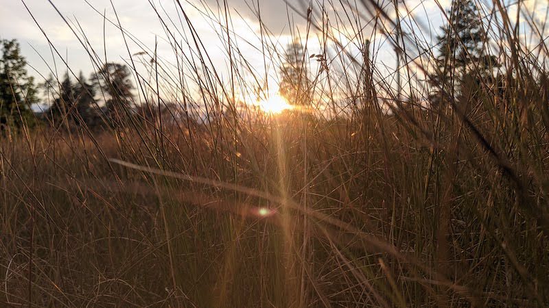 Practice of Karma Yoga