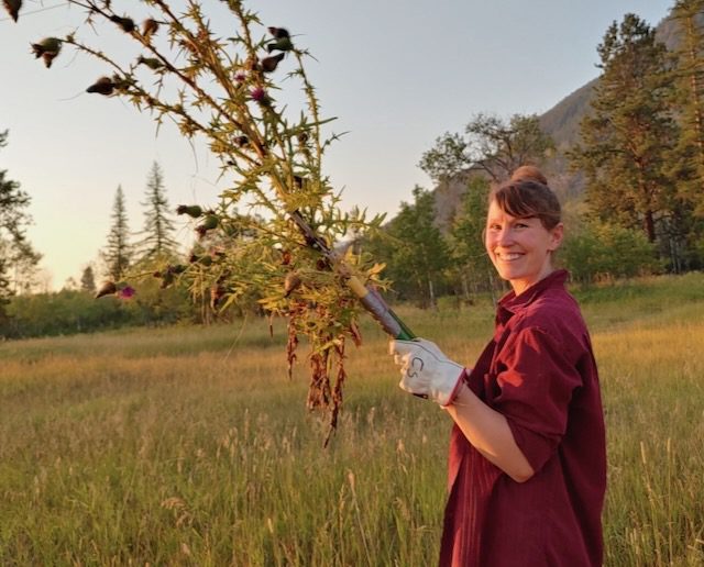 Meditation Stuck Patterns